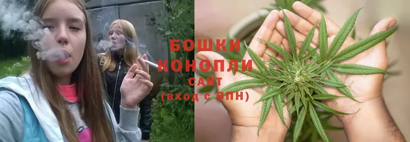 Бошки Шишки Bruce Banner  Владивосток 